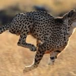 Yohan Song - @yohan4648 - Instagram