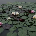 Yoka Brouwer - @yokabrouwer - Instagram