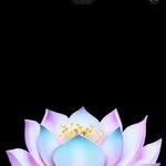 Yoke Tan - @yoke2176 - Instagram