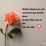 Yolanda Aleman - @yolanda.aleman.357 - Instagram