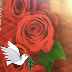Yolanda Aleman - @yolanda.aleman.5201 - Instagram