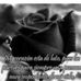 Yolanda Arce - Facebook
