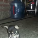 Yolanda Arceo - Facebook
