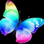 Yolanda Arreguin - @arreguinyolanda - Instagram