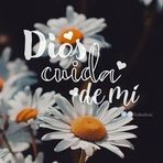 Yolanda Basurto - Facebook