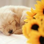 Yolanda Baumgartner - @yolandabaumgartner4764 - Instagram