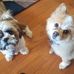 Yolanda Baumgartner - Facebook