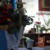 yolandabolanos79 - @yolandabolanos79 - TikTok