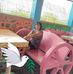 Yolanda Borja - Facebook