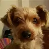 Yolanda Borras lopez - @yolanda.borras.lo4 - TikTok