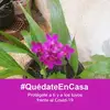 Yolanda Bracamonte - @yola557 - TikTok