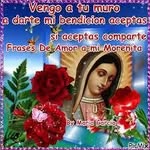 Yolanda Bracamontes - @yolanda.bracamontes.54 - Instagram