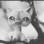 Evelina Yolanda Rosalynn Brady - @hahaujustgothacked - Instagram