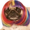 Yolanda Bragg - @yolanda.bragg - TikTok