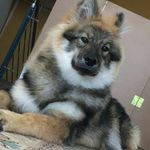 Yolanda Burch Staehli - @burchstaehli - Instagram