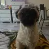 Yolanda Cabrera - @yolanda.cabrera272 - TikTok