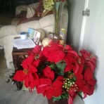 Yolanda Calvert - Facebook