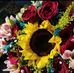 Yolanda Camargo - Facebook