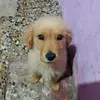 yolanda cañas - @yolanda.....2 - TikTok