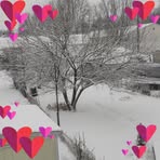 Yolanda Cantu - Facebook
