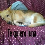 Yolanda Soto Catalan - @yolandasotocatalan - Instagram