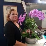 Yolanda Ceja - @yolanda.ceja.1694 - Instagram