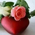 yolanda celis flores - @yolandacelisflores - Instagram