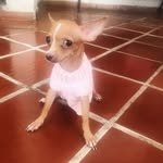 Yolanda Celis Lizcano - @celislizcano - Instagram