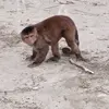 Yolanda Cerda - @yolanda.cerda87 - TikTok