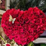 Yolanda Cerna - Facebook