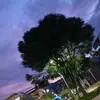 Yolanda Cerna - @yolanda.cerna13 - TikTok