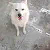 yolandachung - @yolandachung - TikTok