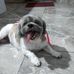 Yolanda Clemente - Facebook