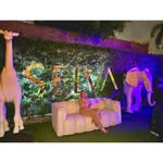 YC🐘👑 - @yolandacobos - Instagram
