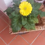 Yolanda Cobos - @y.cobos - Instagram