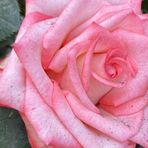 Yolanda Cobos - Facebook