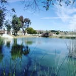 Yolanda Cobos - @yolanda.cobos.165 - Instagram