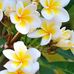 Yolanda Colunga - Facebook