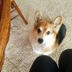 Yolanda Cooley - @cooley4224 - Instagram