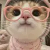 yolandacooper1964 - @yolandacooper1964 - TikTok