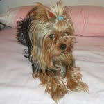 Coronel Yolanda - @yolandacoronel13 - Instagram