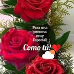 Yolanda Davalos - @yolandadavalos71 - Instagram