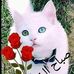 Yolanda Fabian - Facebook