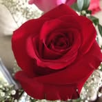 Yolanda Gill - Facebook