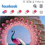 Yolanda Granda - Facebook