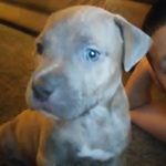 Yolanda Gregory - @yolanda.gregory.3382 - Instagram