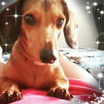 Yolanda Guardiola - Facebook