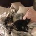 Yolanda Hansen - Facebook