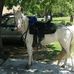 Yolanda Hardeman - Facebook