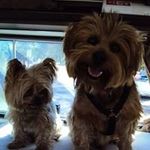 Yolanda Hickman - @yohickman1960 - Instagram
